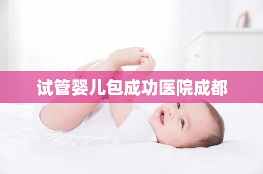 试管婴儿包成功医院成都