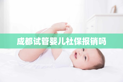 成都试管婴儿社保报销吗