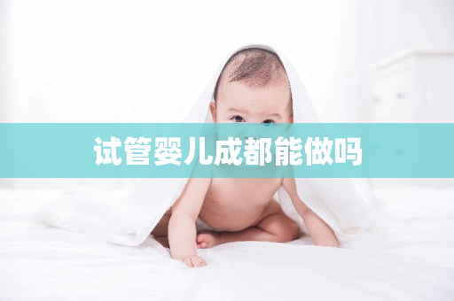 试管婴儿成都能做吗