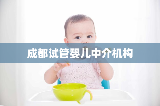 成都试管婴儿中介机构