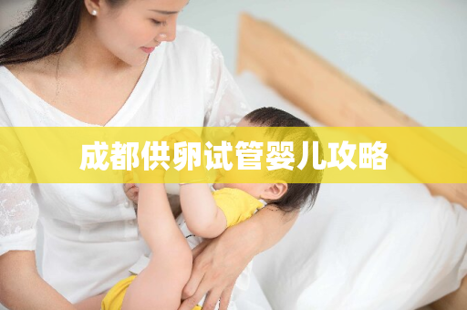 成都供卵试管婴儿攻略