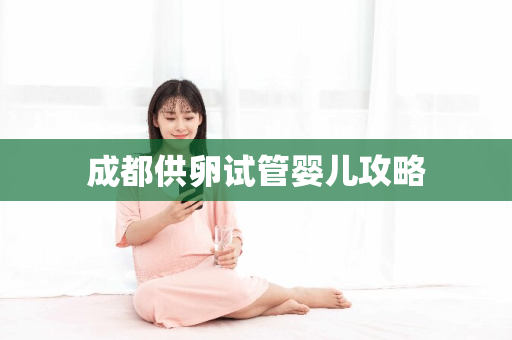 成都供卵试管婴儿攻略