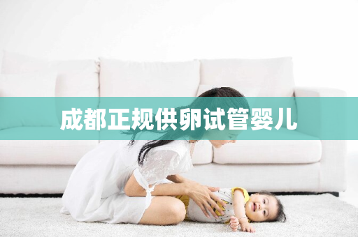 成都正规供卵试管婴儿