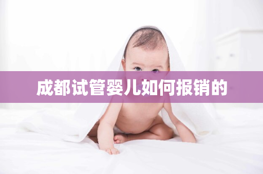 成都试管婴儿如何报销的