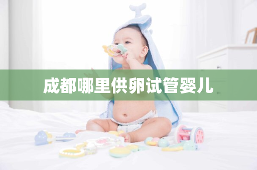 成都哪里供卵试管婴儿