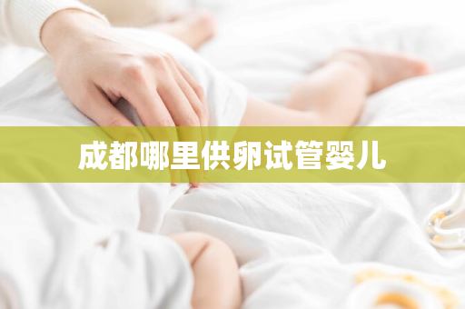 成都哪里供卵试管婴儿