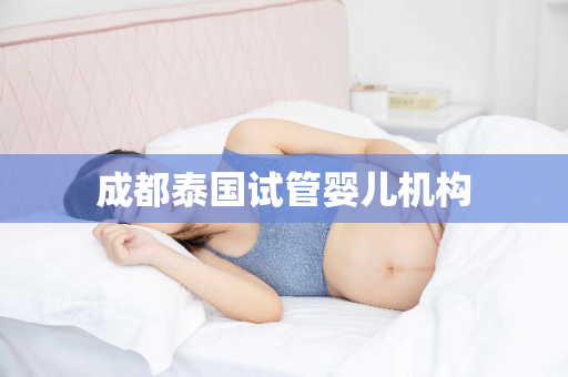 成都泰国试管婴儿机构