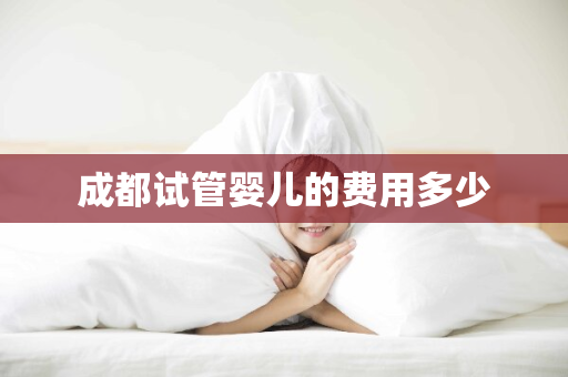 成都试管婴儿的费用多少