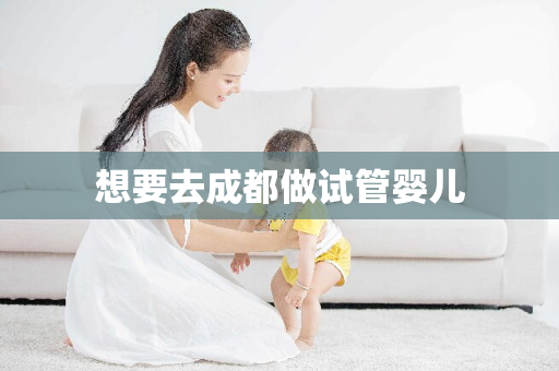 想要去成都做试管婴儿