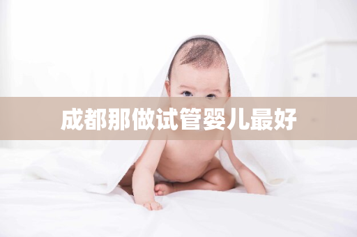 成都那做试管婴儿最好