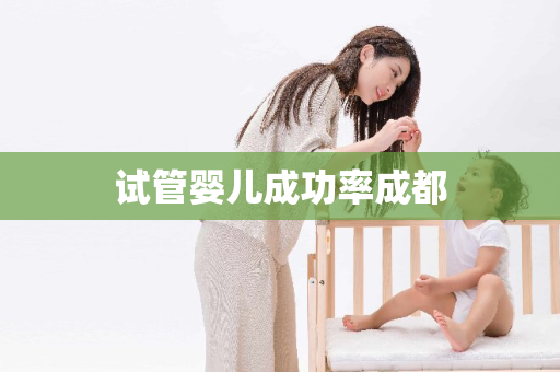 试管婴儿成功率成都