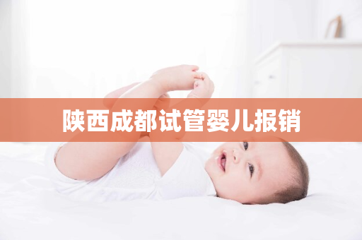 陕西成都试管婴儿报销