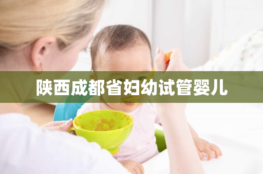 陕西成都省妇幼试管婴儿