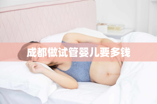 成都做试管婴儿要多钱