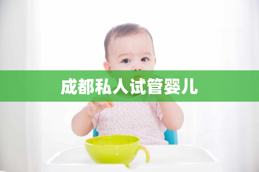 成都私人试管婴儿