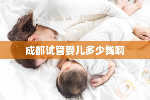 成都试管婴儿多少钱啊