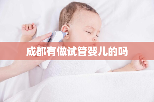 成都有做试管婴儿的吗