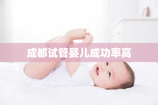 成都试管婴儿成功率高