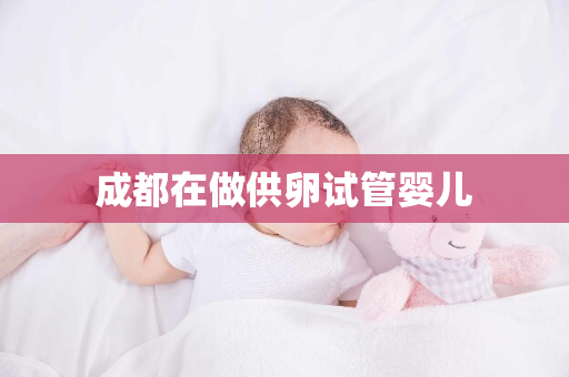 成都在做供卵试管婴儿