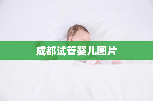 成都试管婴儿图片