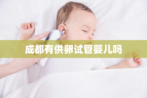 成都有供卵试管婴儿吗