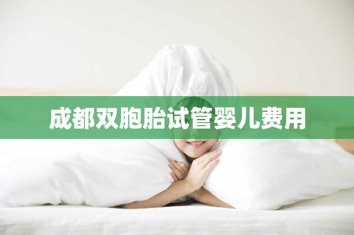 成都双胞胎试管婴儿费用