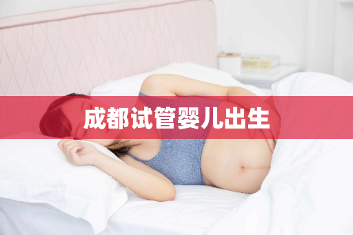 成都试管婴儿出生