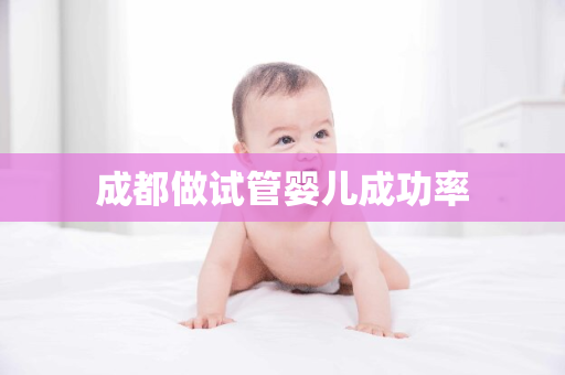 成都做试管婴儿成功率