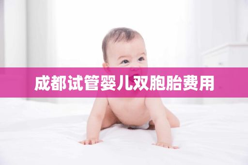 成都试管婴儿双胞胎费用