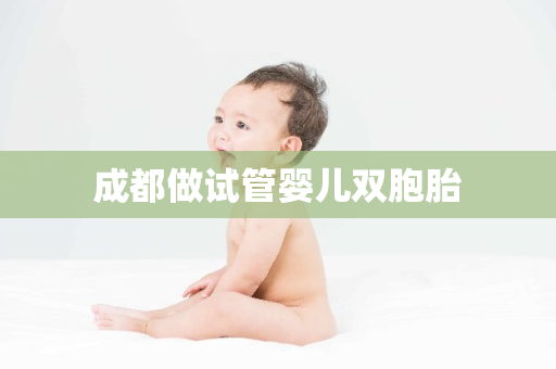 成都做试管婴儿双胞胎