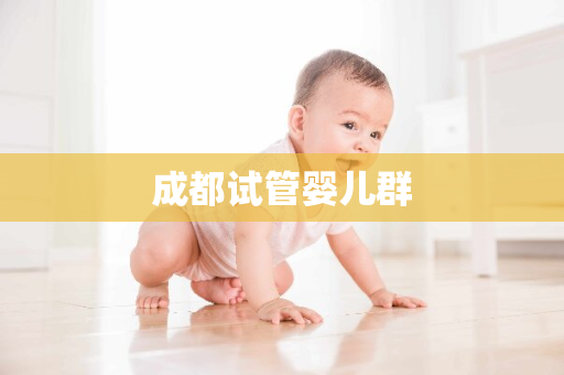 成都试管婴儿群