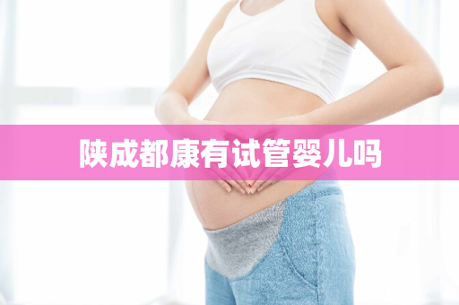 陕成都康有试管婴儿吗