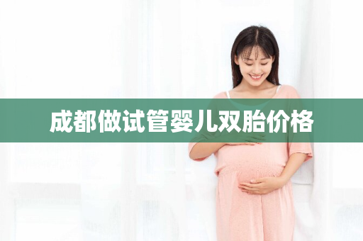 成都做试管婴儿双胎价格