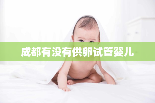 成都有没有供卵试管婴儿