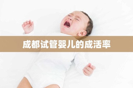 成都试管婴儿的成活率