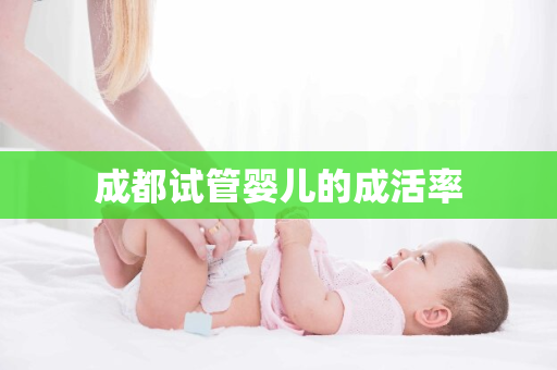 成都试管婴儿的成活率