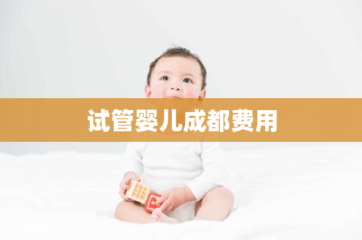 试管婴儿成都费用