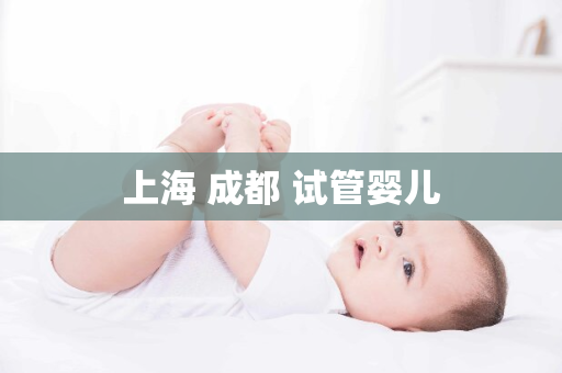 上海 成都 试管婴儿