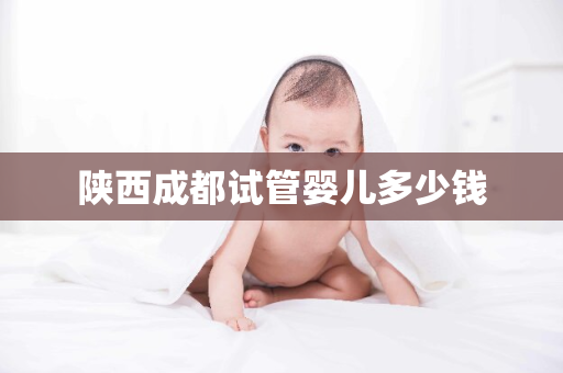 陕西成都试管婴儿多少钱