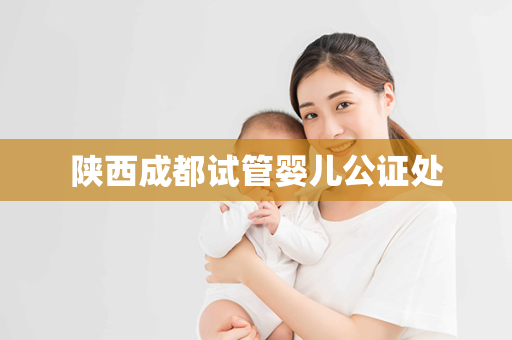 陕西成都试管婴儿公证处