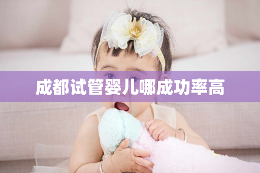 成都试管婴儿哪成功率高