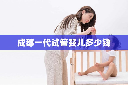 成都一代试管婴儿多少钱