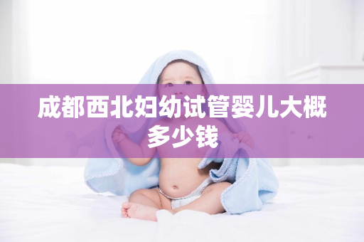 成都西北妇幼试管婴儿大概多少钱