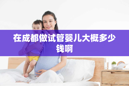 在成都做试管婴儿大概多少钱啊