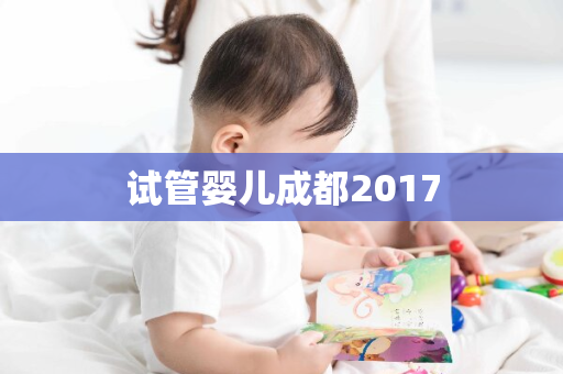 试管婴儿成都2017