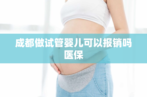 成都做试管婴儿可以报销吗医保