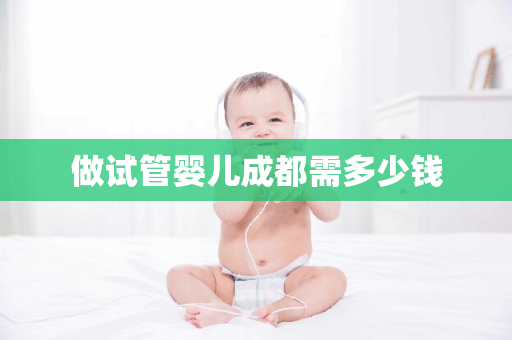 做试管婴儿成都需多少钱