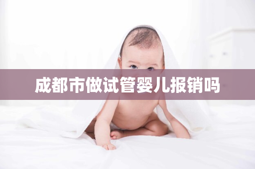 成都市做试管婴儿报销吗