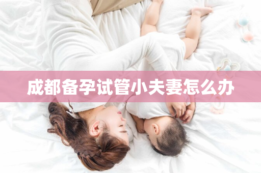 成都备孕试管小夫妻怎么办