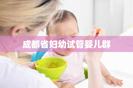 成都省妇幼试管婴儿群